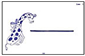Flashcard Button for Teaching Aids